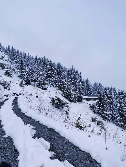 Appartement De 80M² Plein Sud Entierement Renove La Plagne
